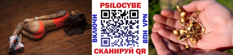 Псилоцибиновые грибы MAGIC MUSHROOMS Малоархангельск